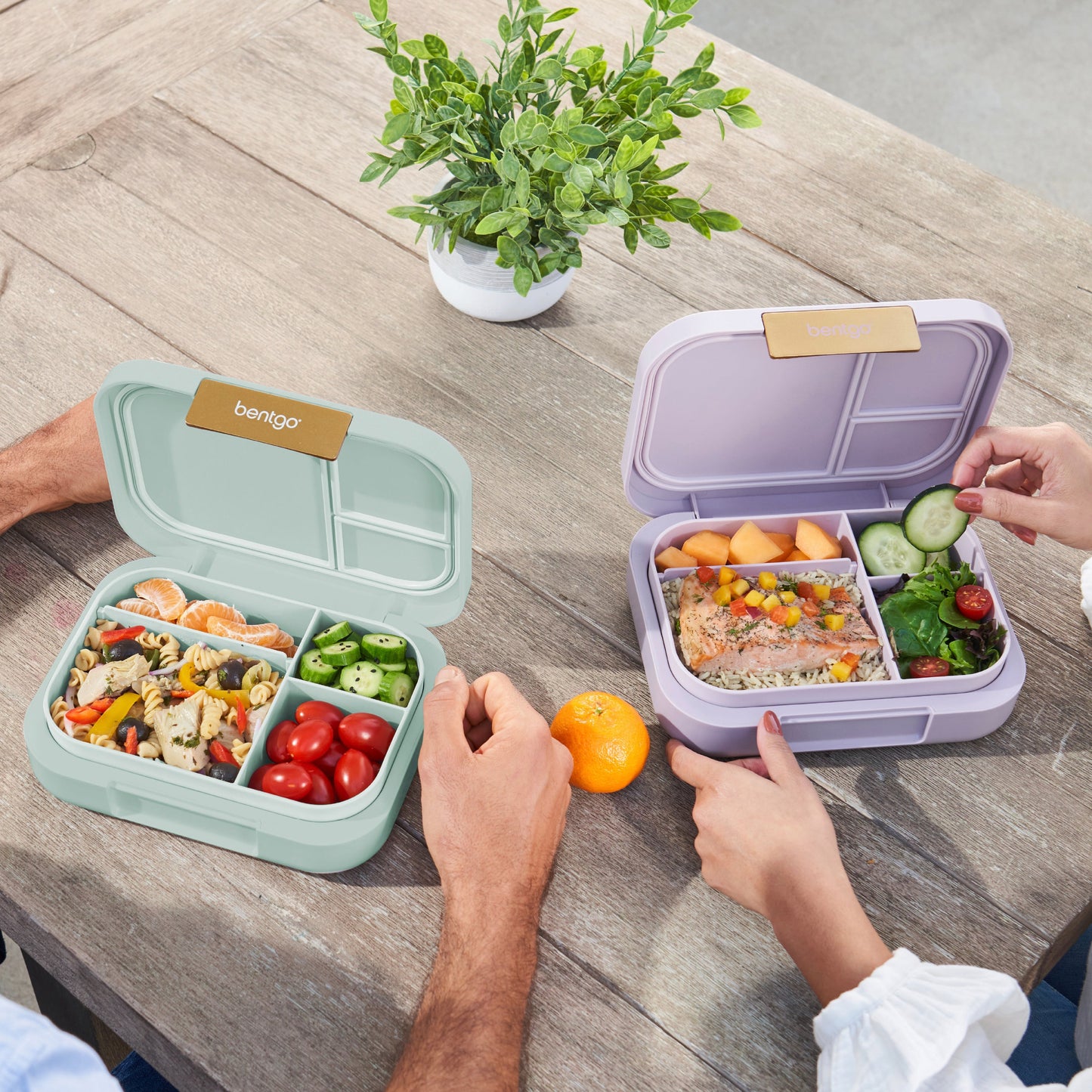 bentgo-modern-lunch-box-2-pack-u0 COSTCOBMCPRODUCTIMAGE_2.jpg